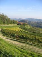 Weine aus dem Basso Monferrato Astigiano, Piemont